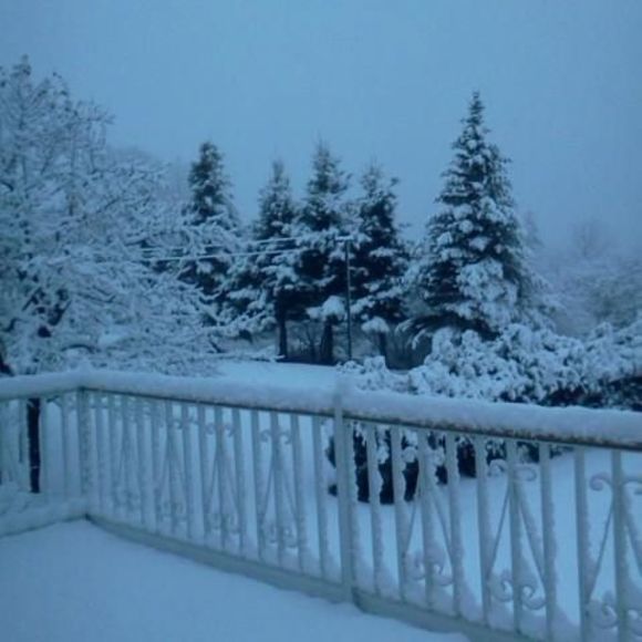 Meet your Posher, Dimitry - Picture 1 of 1